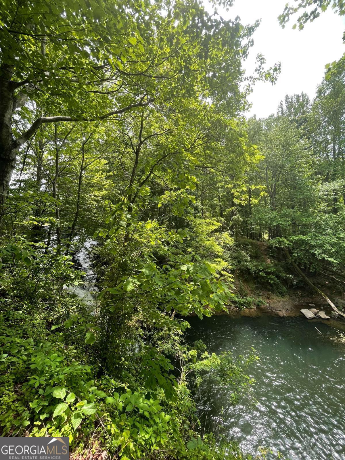 1225-1227 Oglethorpe Road Jasper, GA 30143 - Photo 7 of 40 a view of a lake from a yard