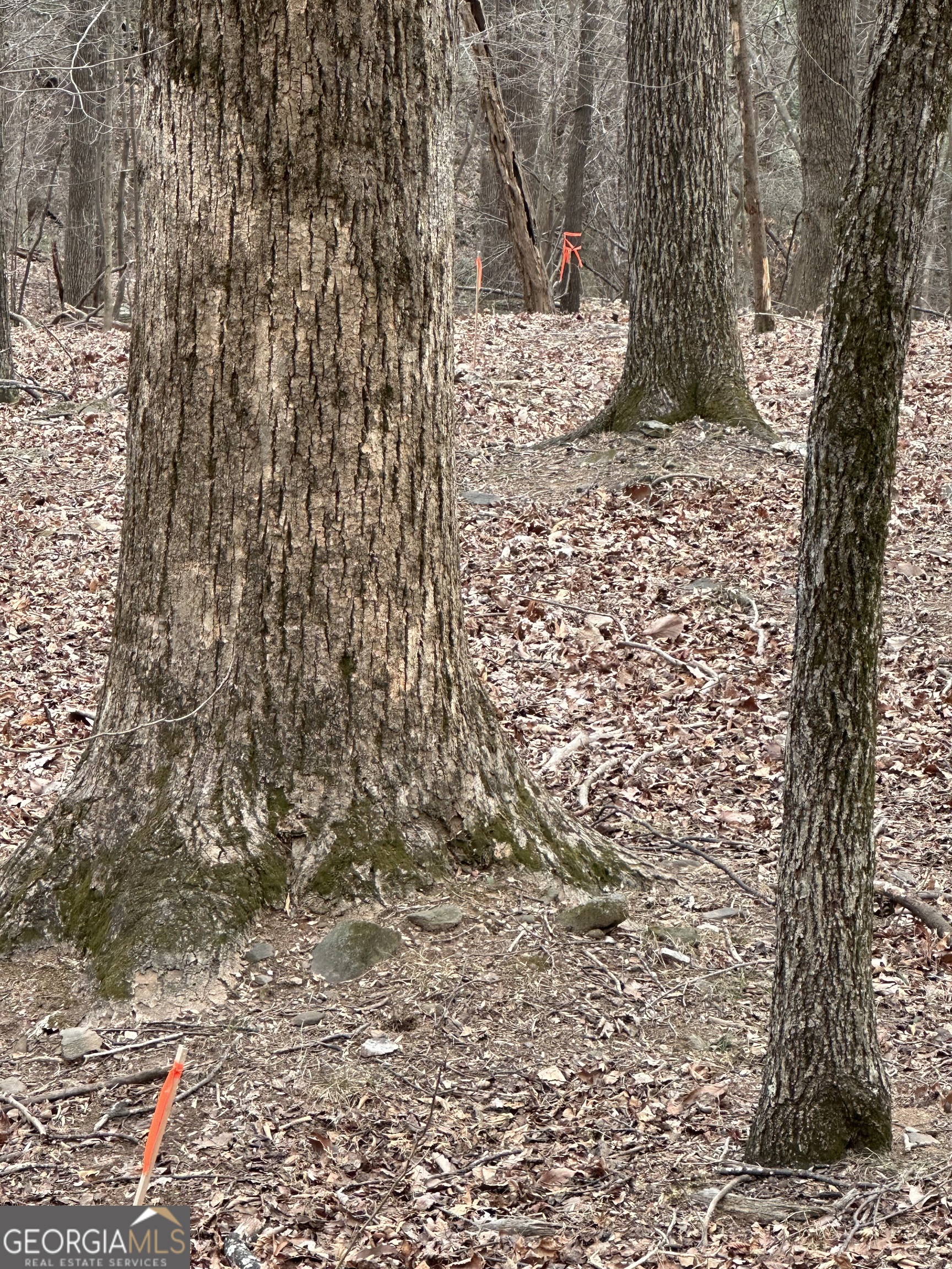 1225-1227 Oglethorpe Road Jasper, GA 30143 - Photo 10 of 40 a bathroom with a shower