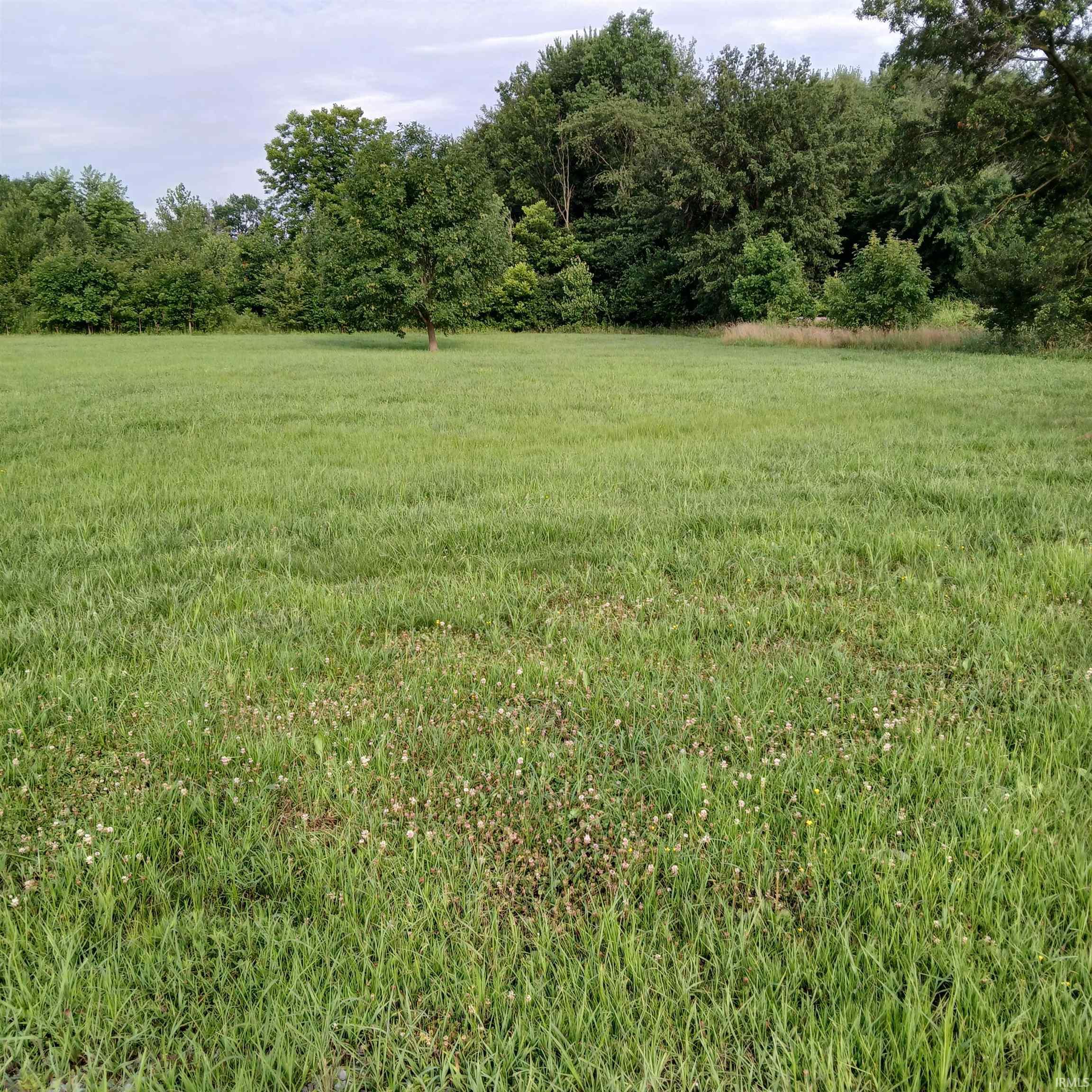 331 Horning Drive Odon, IN 47562 - Photo 9 of 18