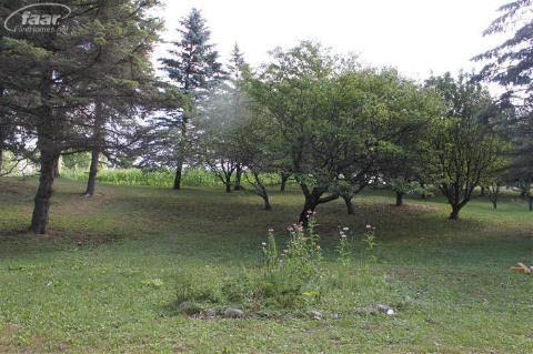 6456 West Mount Morris Road Mount Morris, MI 48458 - Photo 8 of 38 20220730-7.JPG