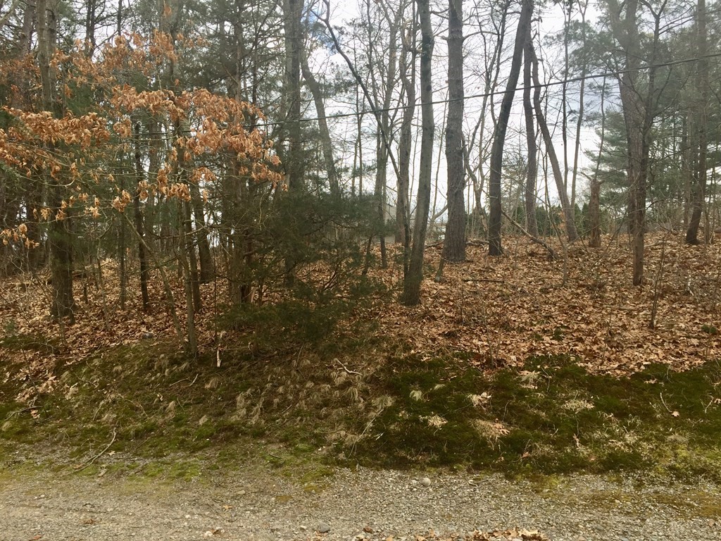 266 Abbott Run Valley Road Cumberland, RI 02864 - Photo 8 of 10