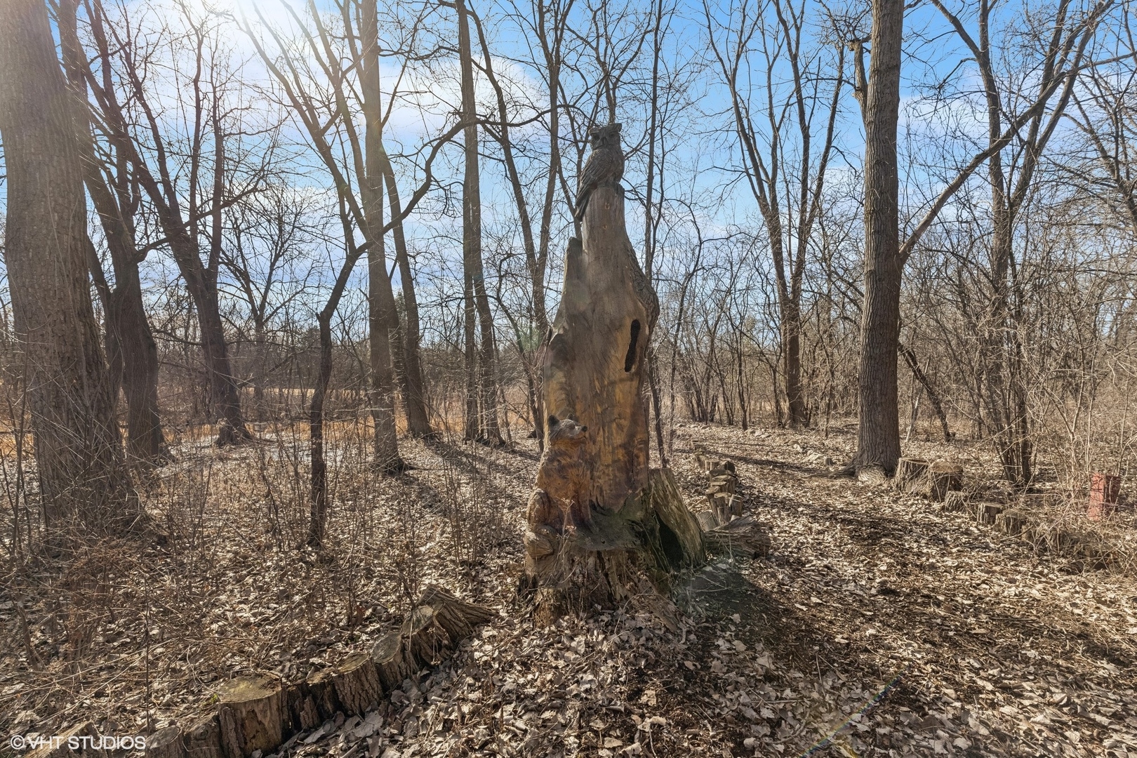 133 East County Line Road Barrington, IL 60010 - Photo 40 of 40