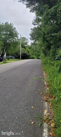 a view of a field with trees in background