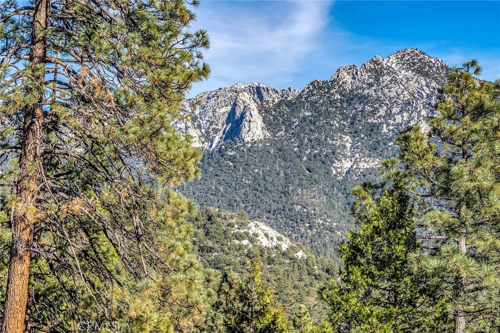 53580 Jeffery Pine Road Idyllwild, CA 92549 - Photo 56 of 61