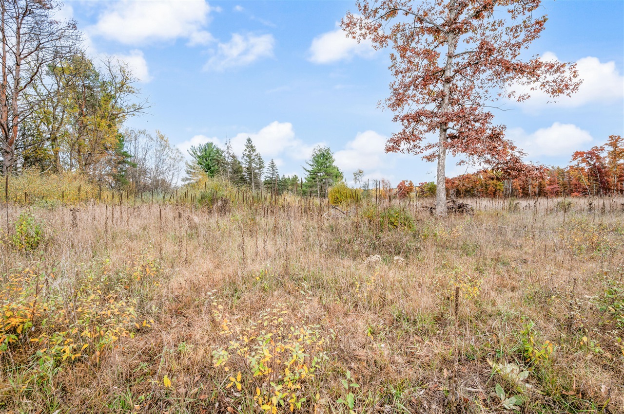 16 16 Mile Road Lakeview, MI 48850 - Photo 14 of 26