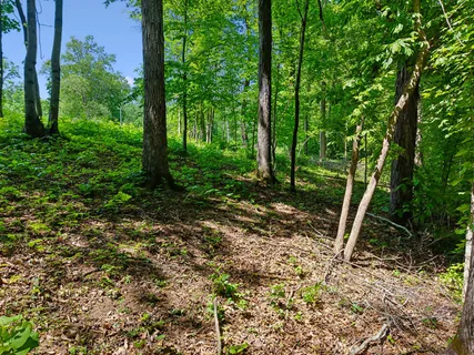 $650,000 | 0 Casparis Road, Franklin, TN 37064