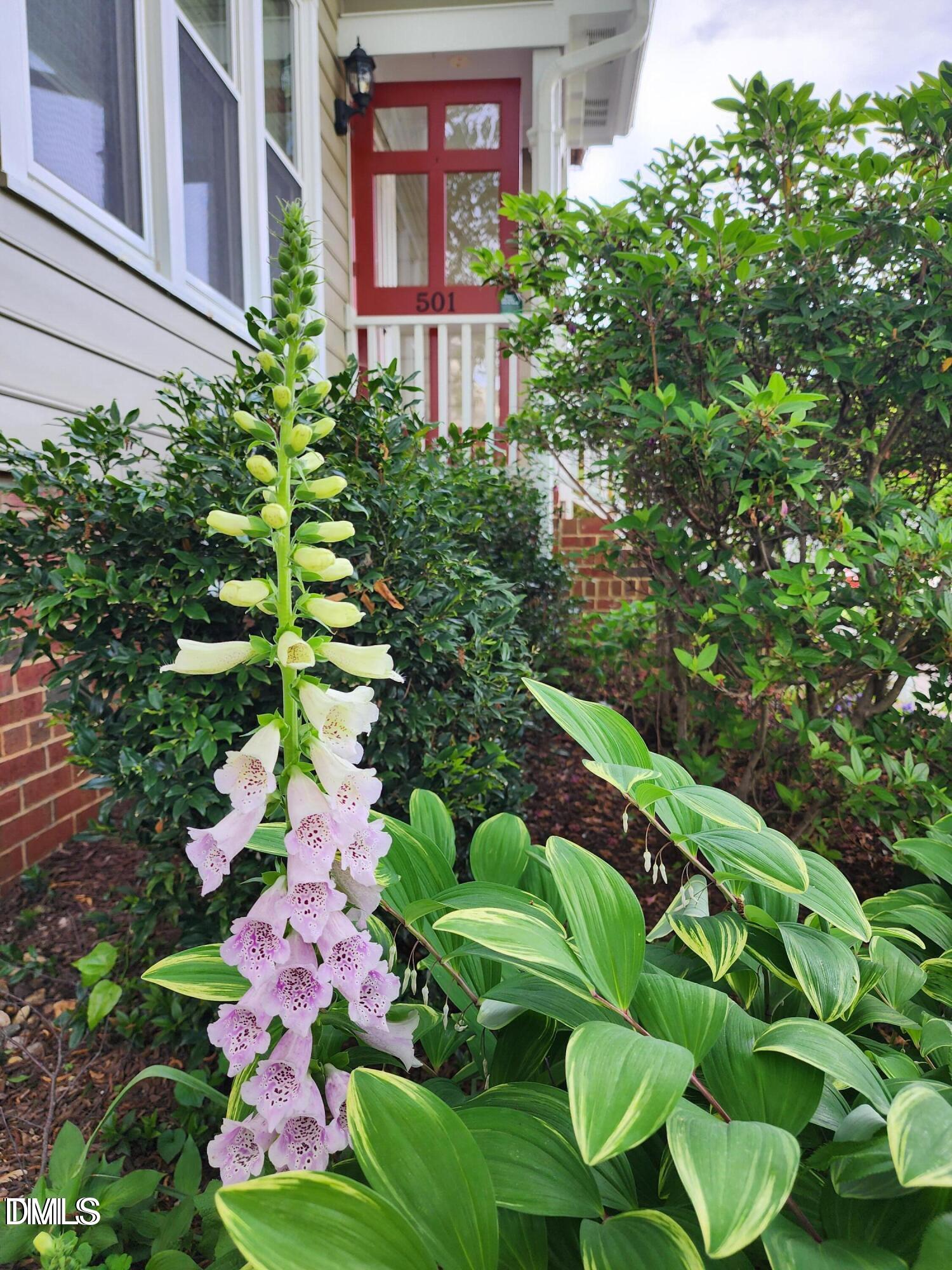 501 Samara Street Apex, NC 27502 - Photo 56 of 77 a view of a bunch of flowers