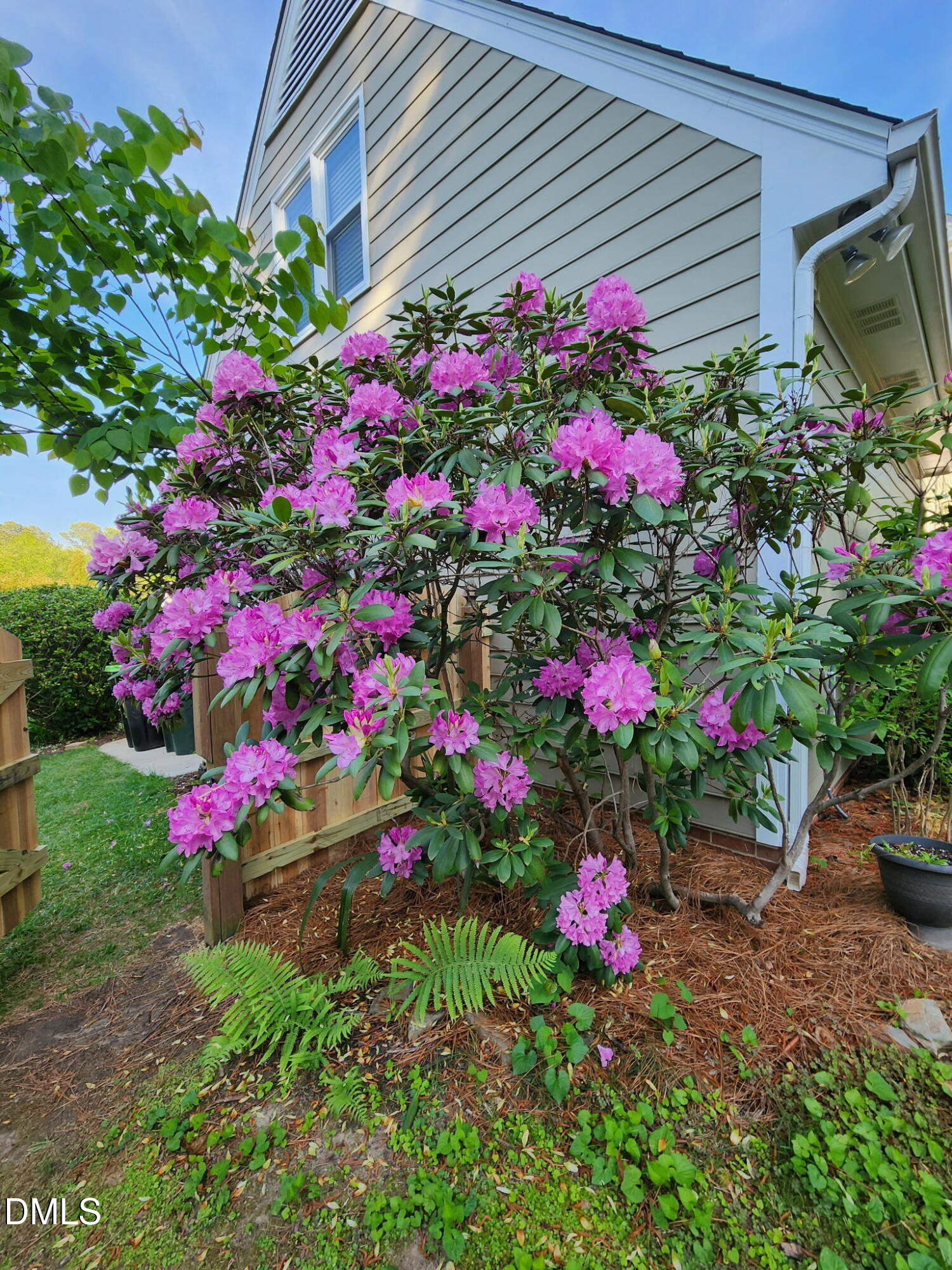501 Samara Street Apex, NC 27502 - Photo 68 of 77 a view of a flower in a yard