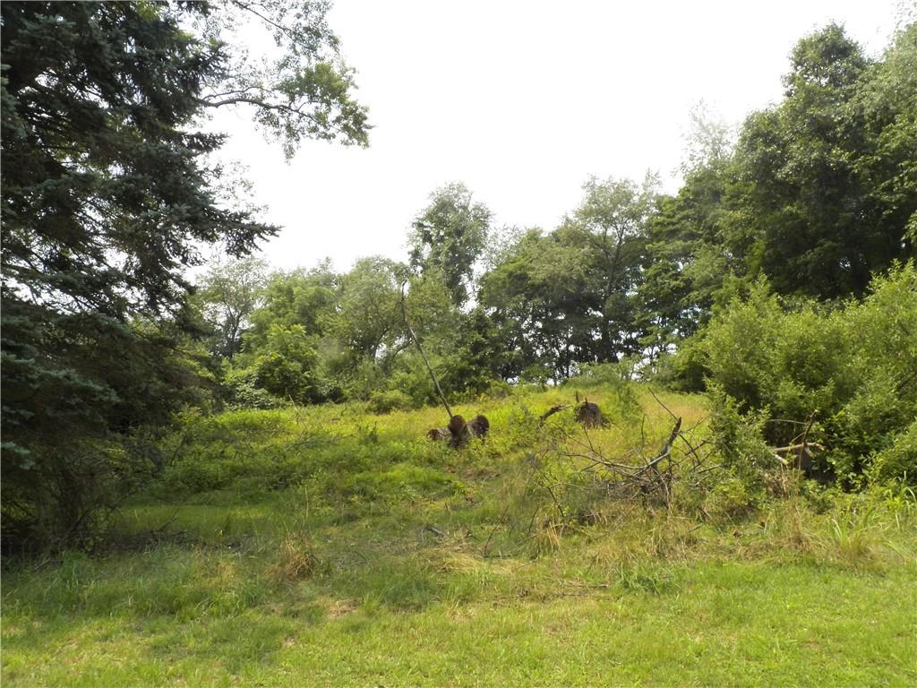 555 MADISON Road Templeton, PA 16259 - Photo 17 of 24 a view of a yard with plants