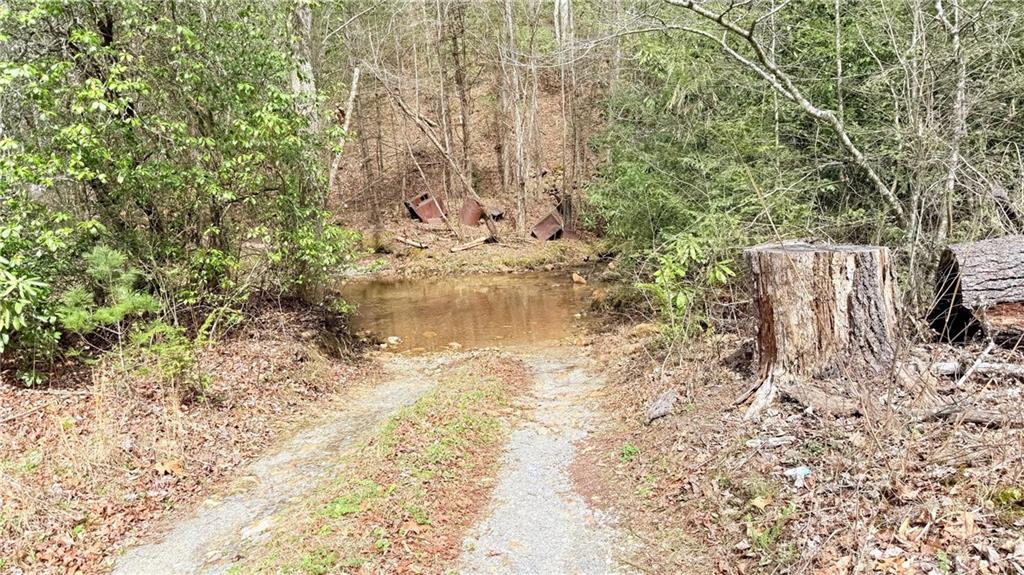 8072 Doublehead Gap Road Blue Ridge, GA 30513 - Photo 27 of 29