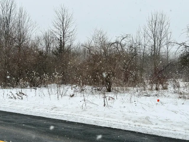 $175,000 | 1614 66th Street, Fennville, MI 49408