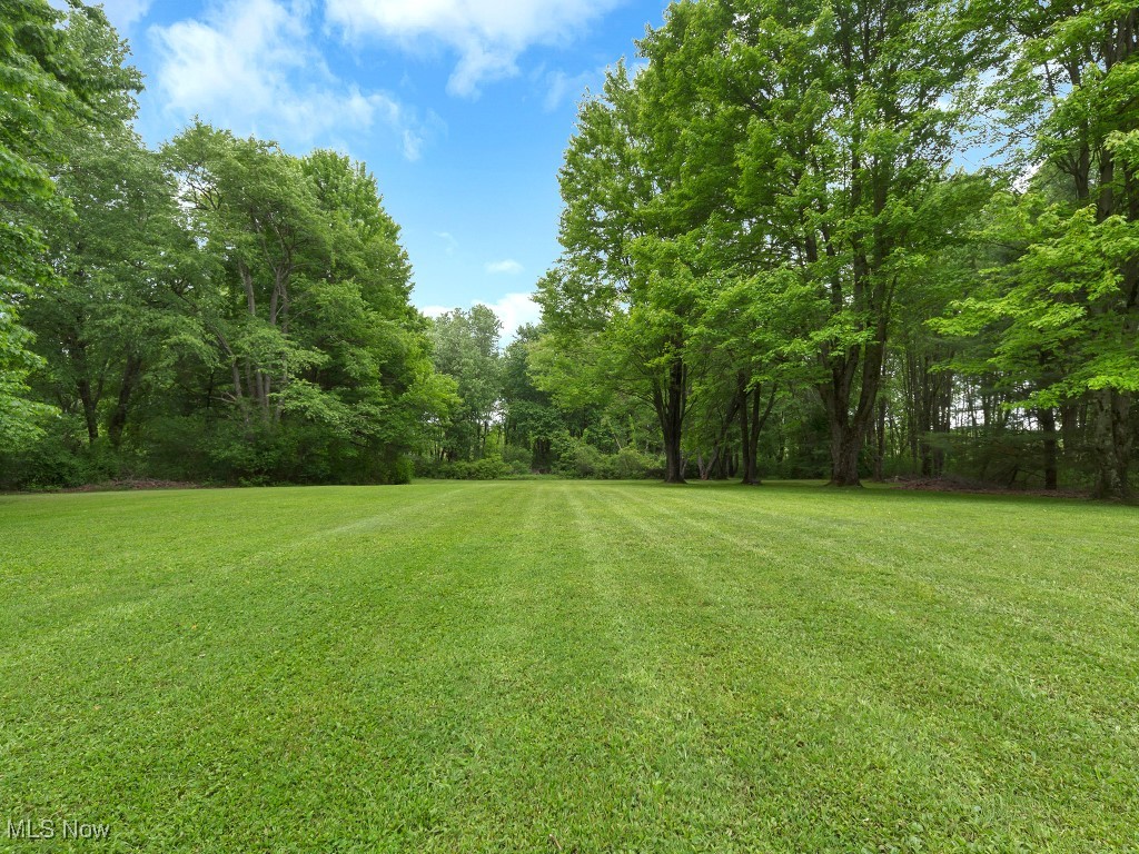 11050 Bell Road Newbury, OH 44065 - Photo 19 of 38 View of the beautiful backyard