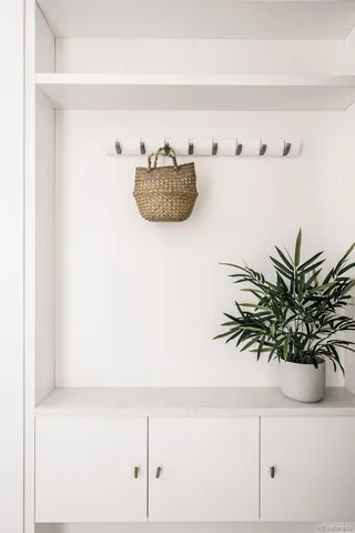 a close view of a plant in a shelf