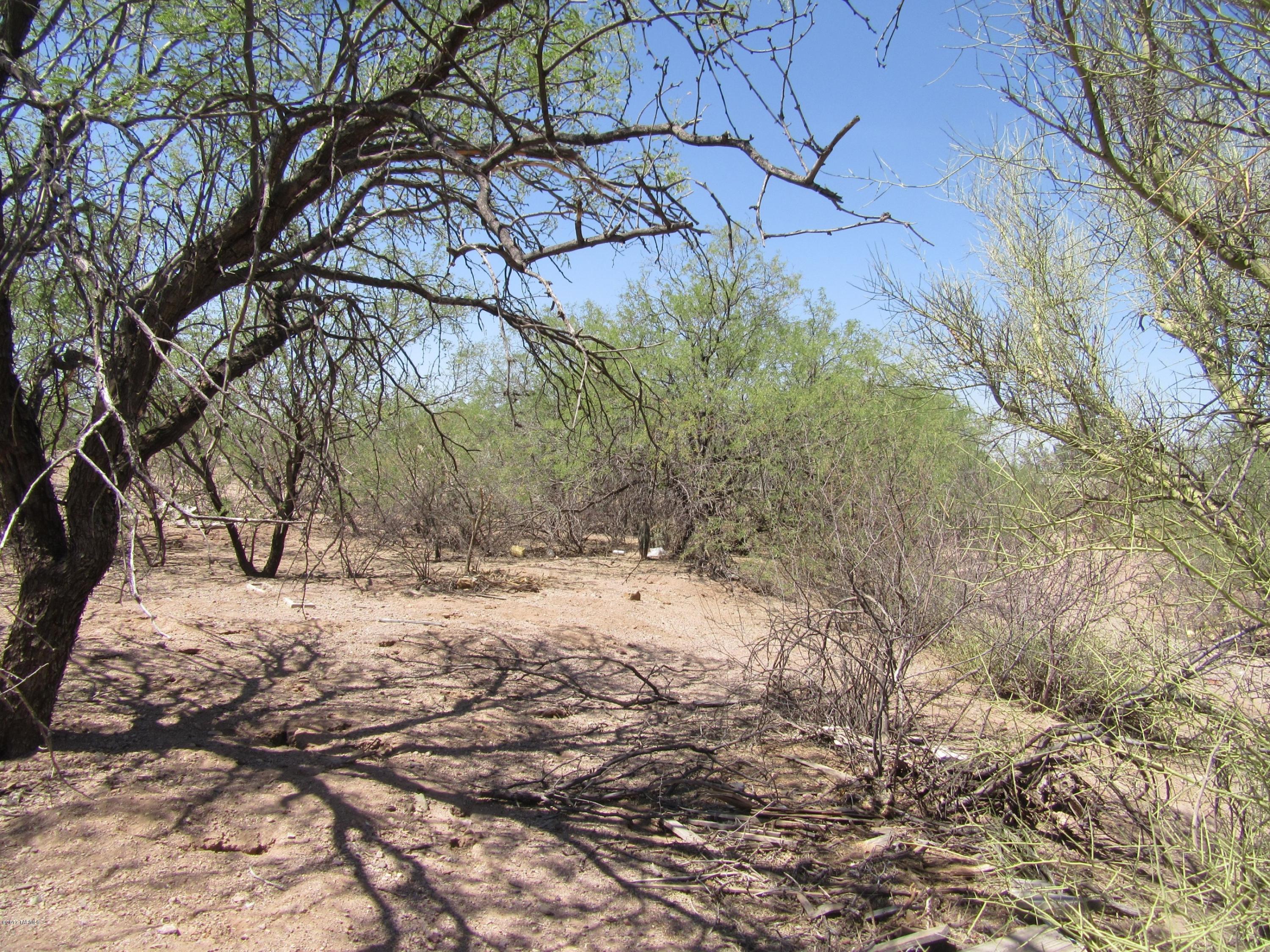 6281 South Mark Road Tucson, AZ 85757 - Photo 6 of 22 Gallery Image 6