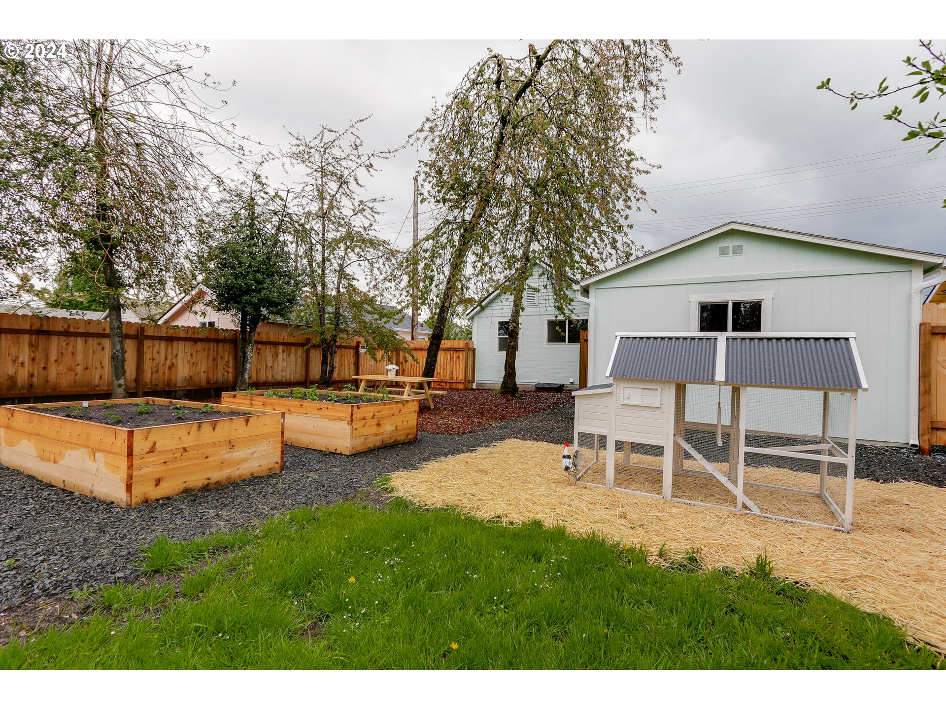 144 South 15th Street Springfield, OR 97477 - Photo 24 of 35 a view of a chairs and table in the back yard of the house