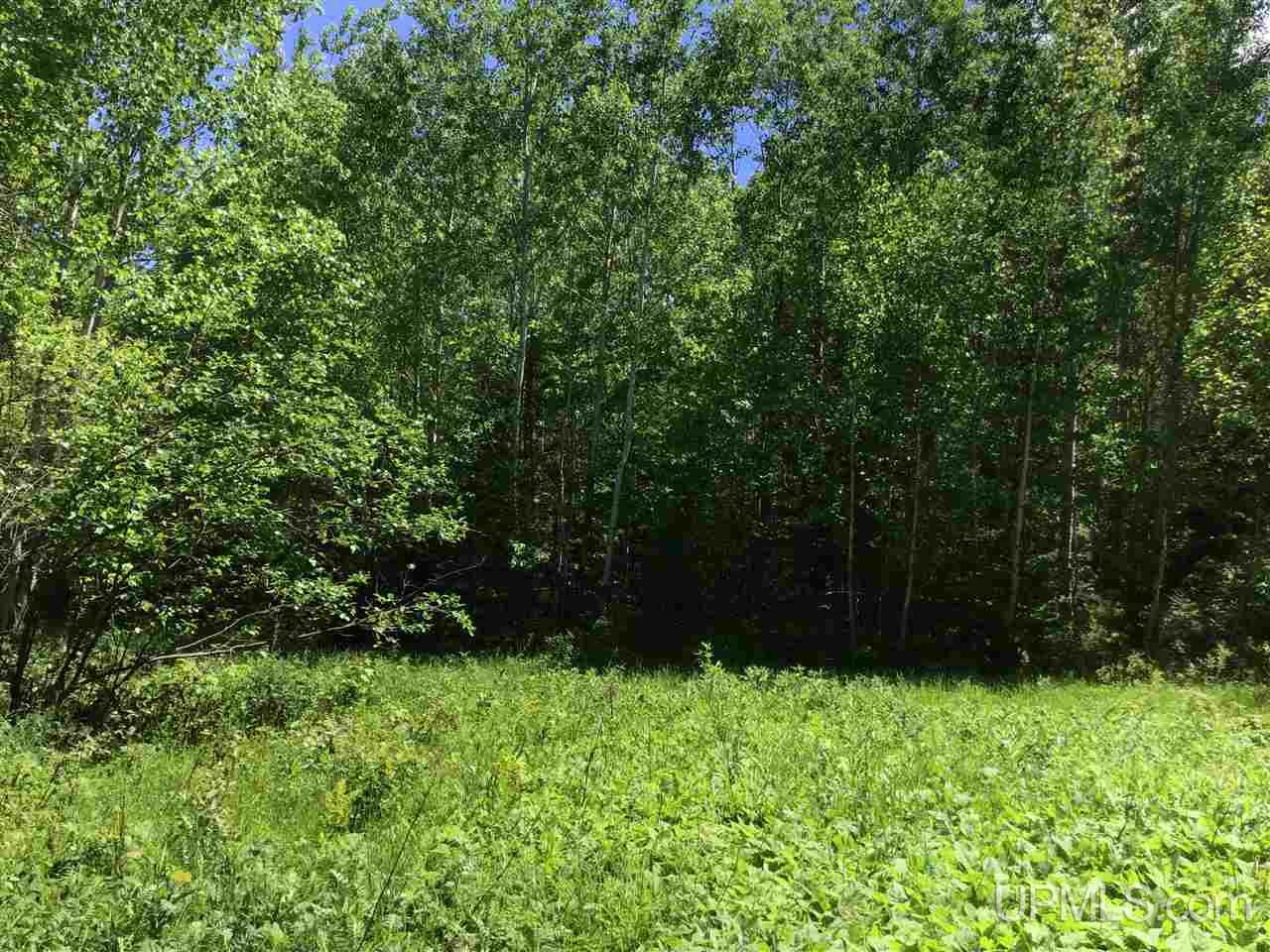 Tbd Co Rd 496 (b) Road, Unit PARCEL B Champion, MI 49814 - Photo 3 of 33