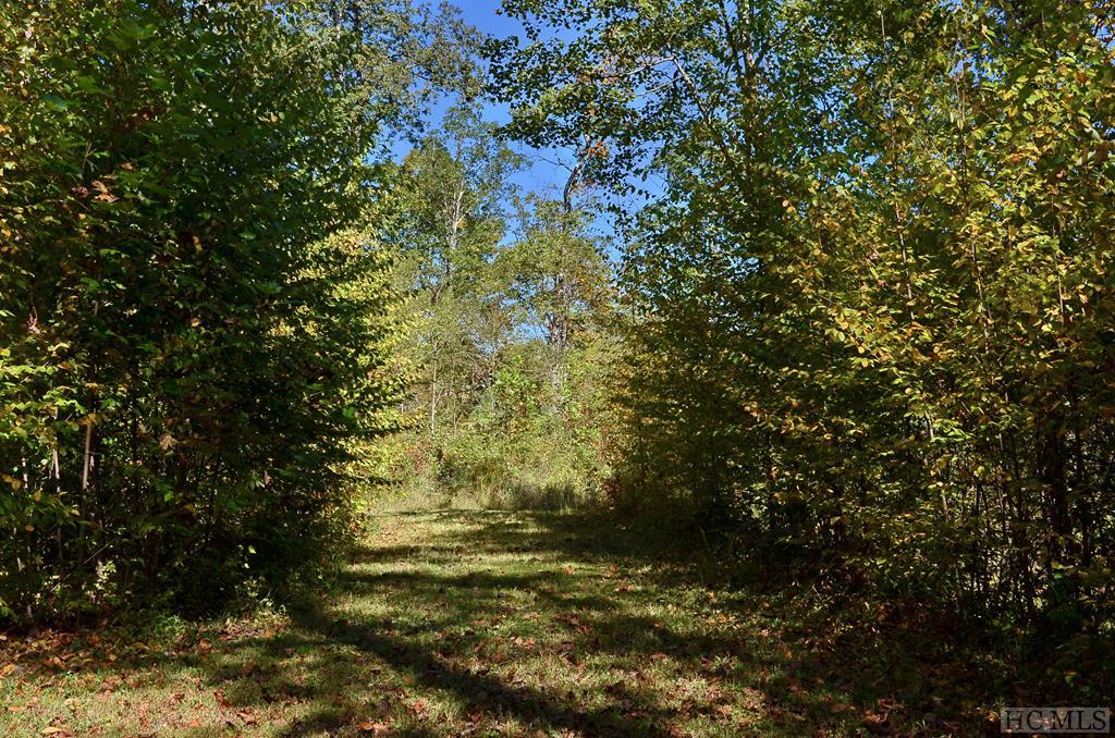 Lot 47 Pilot Knob Road Tuckasegee, NC 28783 - Photo 1 of 8 Gallery Image 1