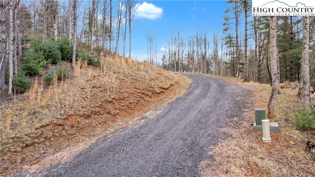 a view of a backyard of the house