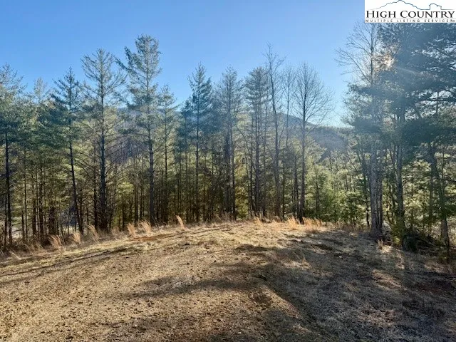 a view of snow covered with trees