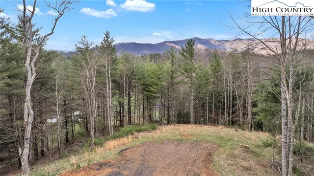 a view of outdoor space and trees