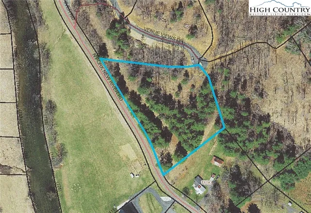 a view of a backyard with barn plants and large tree