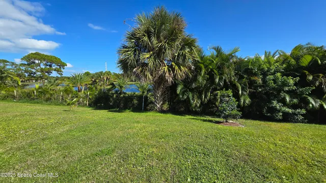 a view of a field of grass and trees