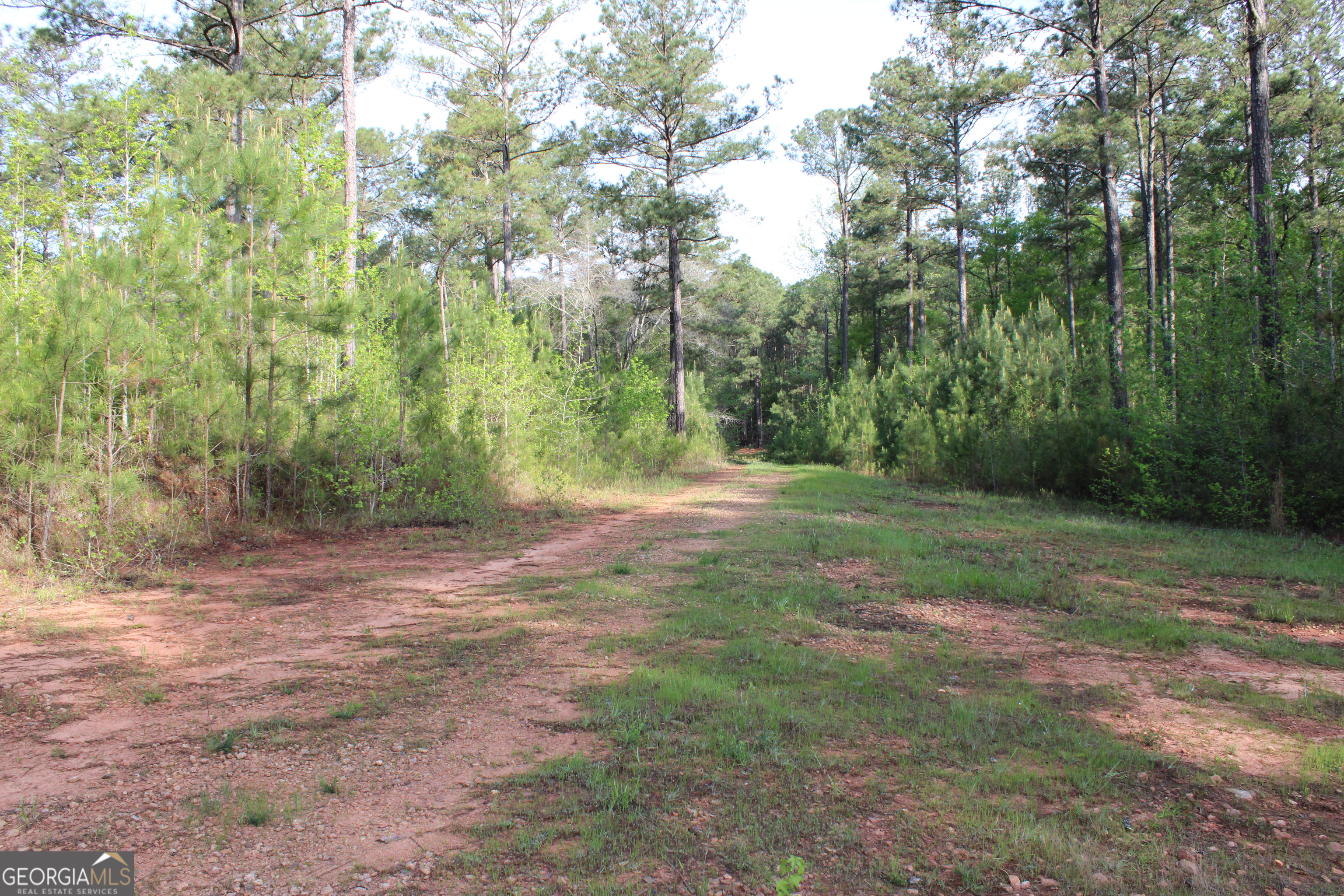 0 Ruffner Road The Rock, GA 30285 - Photo 15 of 51 a view of a yard with trees in the background