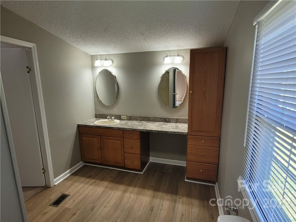 309 Johnson Dairy Road Mooresville, NC 28115 - Photo 10 of 19 a bathroom with granite countertop a sink and a mirror
