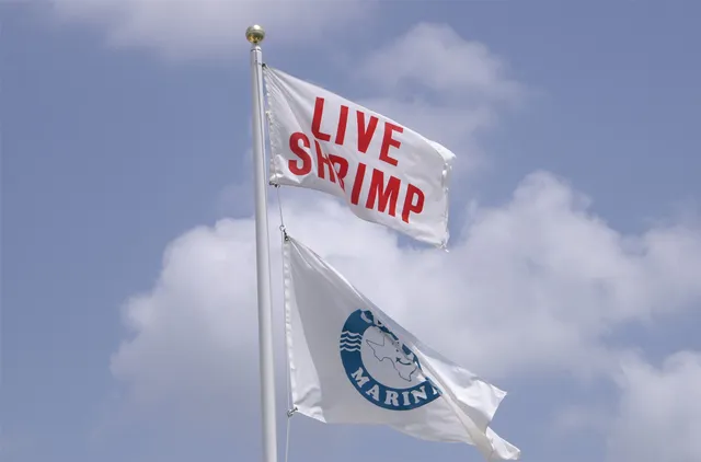 a view of a garden and lake
