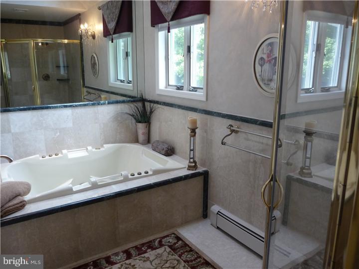 439 Gordon Road Robbinsville, NJ 08691 - Photo 13 of 25 Master Bathroom
