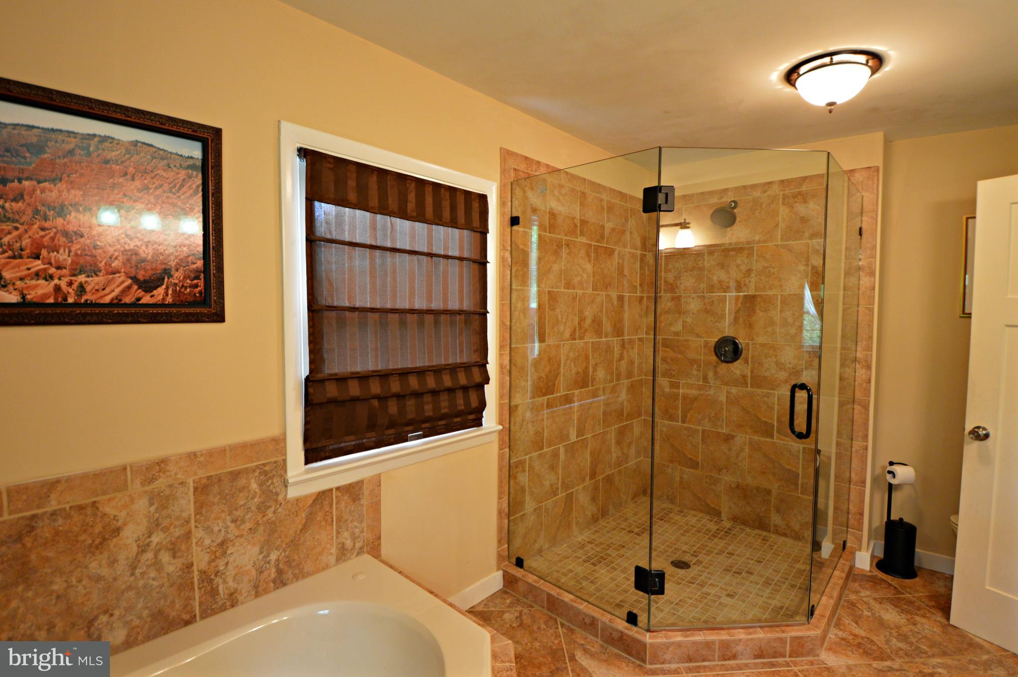 63 Hemlock Road Reading, PA 19607 - Photo 12 of 27 Master bath