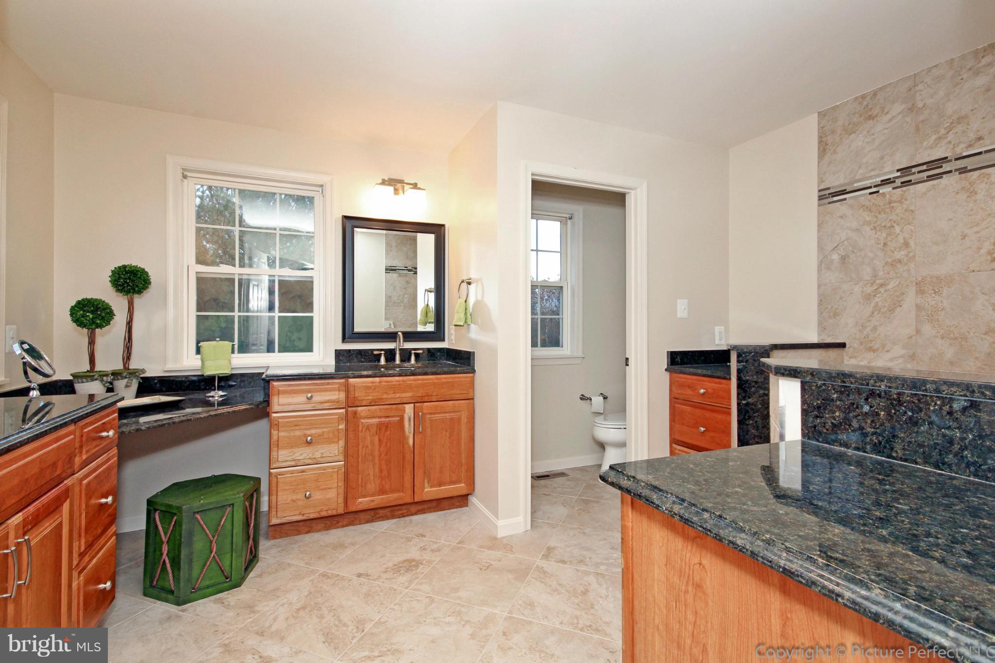 2575 Mullinix Mill Road Mount Airy, MD 21771 - Photo 25 of 30 Bath (Master)