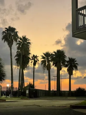 a garden view with a bench