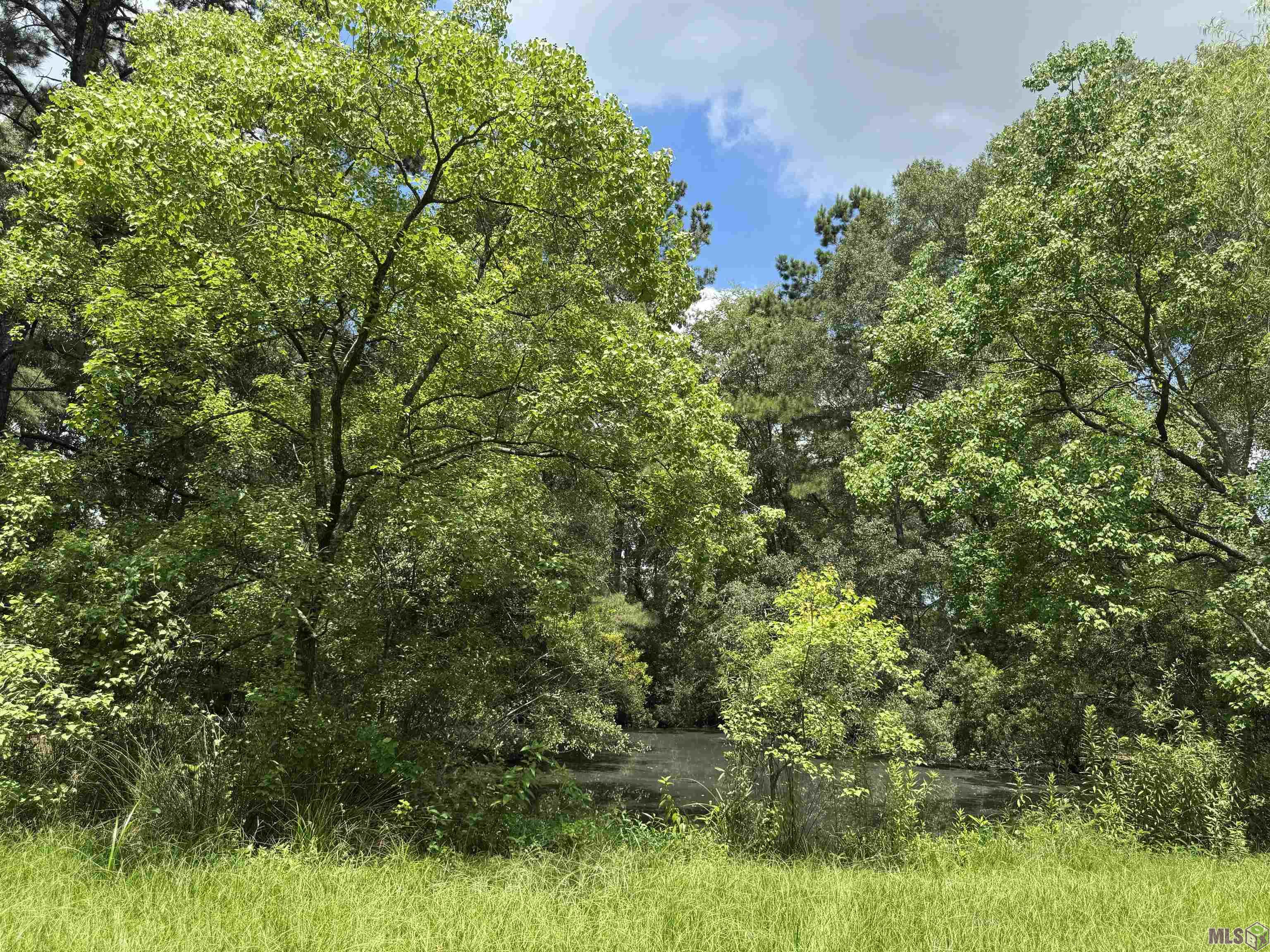 2553 Lirocchi Drive Baton Rouge, LA 70816 - Photo 2 of 7