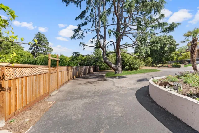 a view of a garden with wooden fence