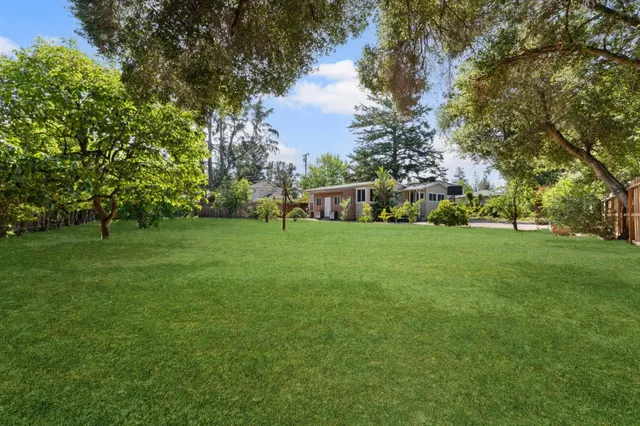 a view of a green field with trees