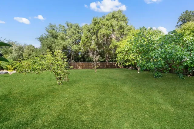 a view of yard with green space