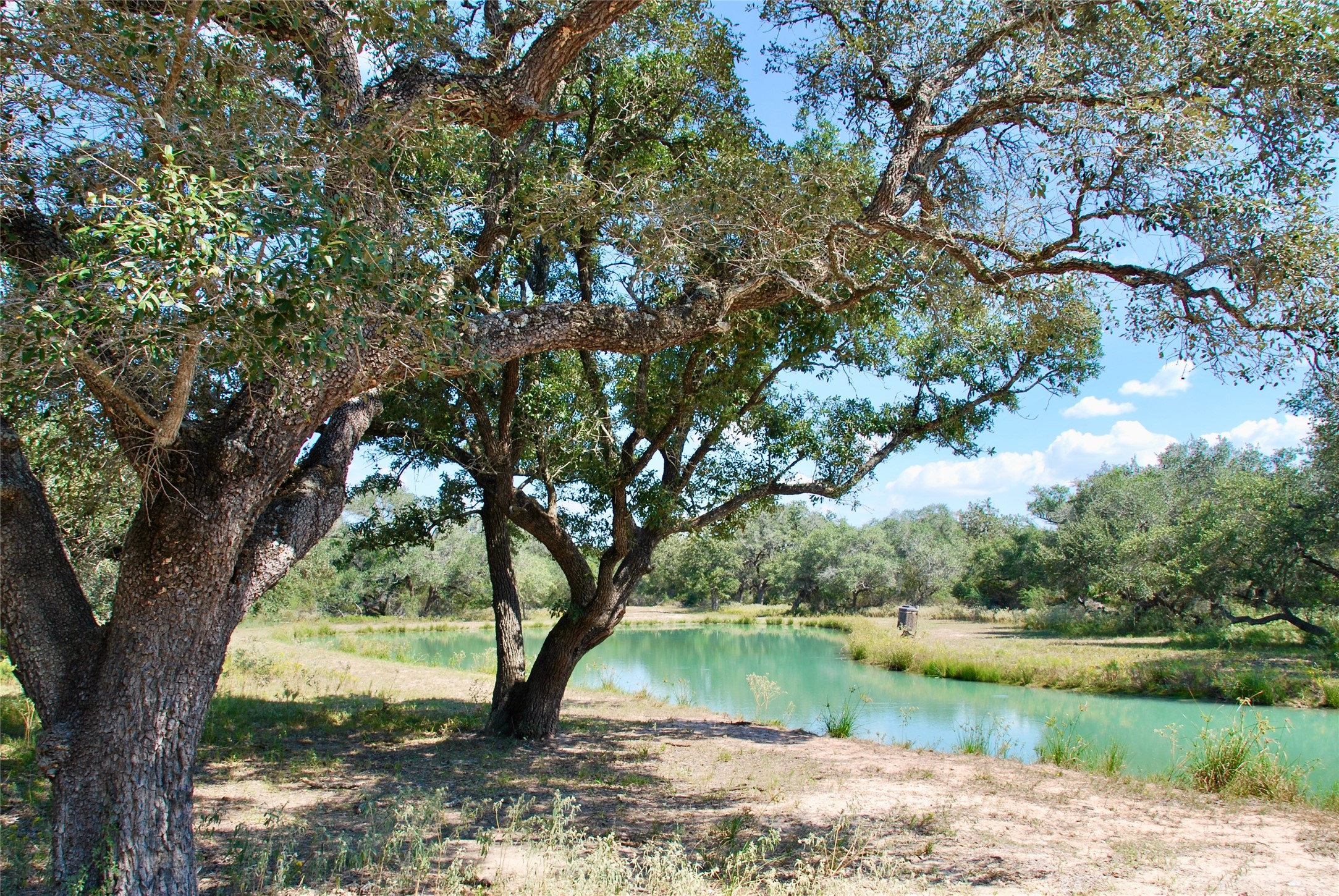 3033 County Road 18 Hallettsville, TX 77964 - Photo 34 of 50