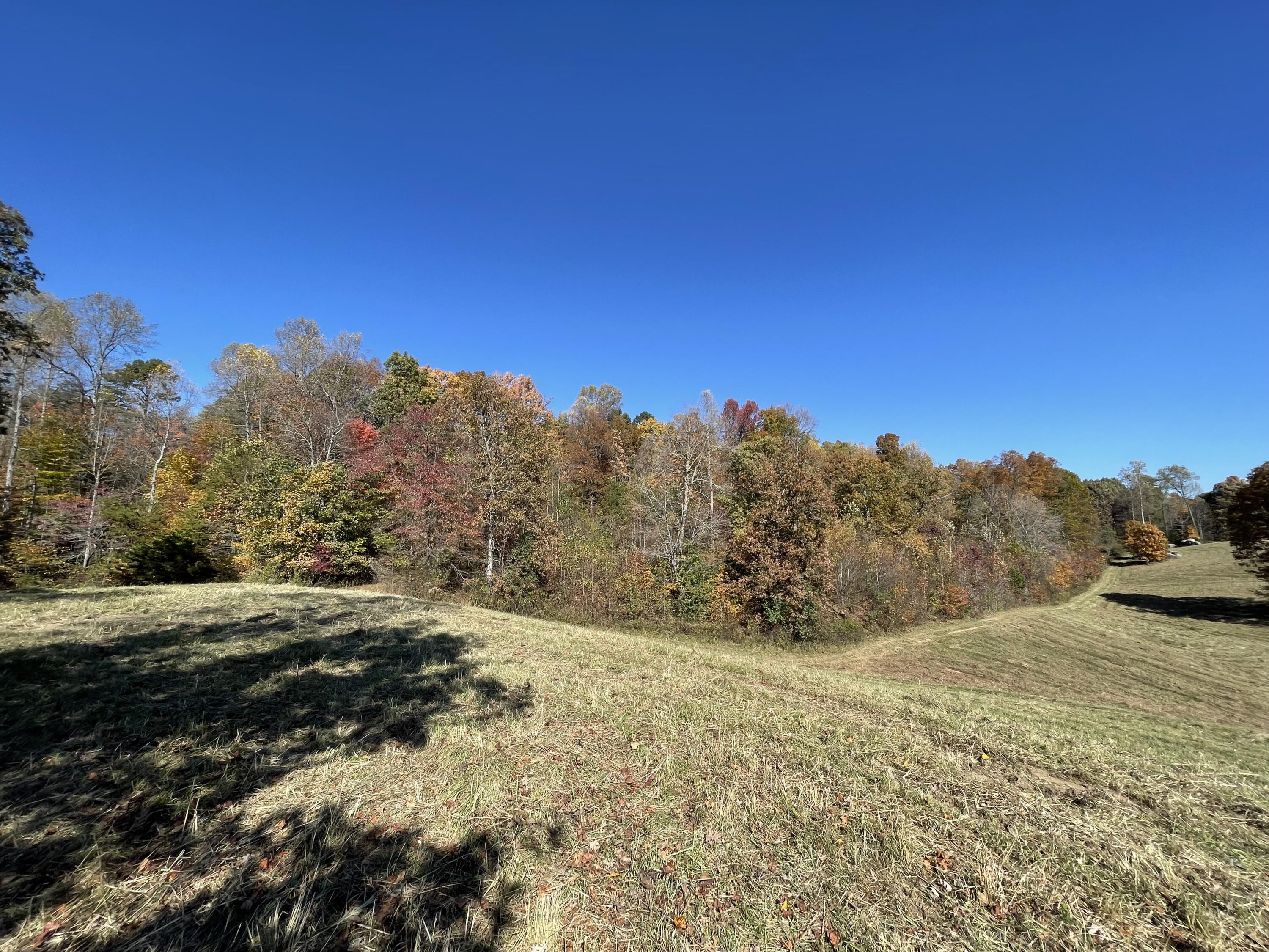9999 Burnett Road London, KY 40744 - Photo 32 of 44 IMG_4226