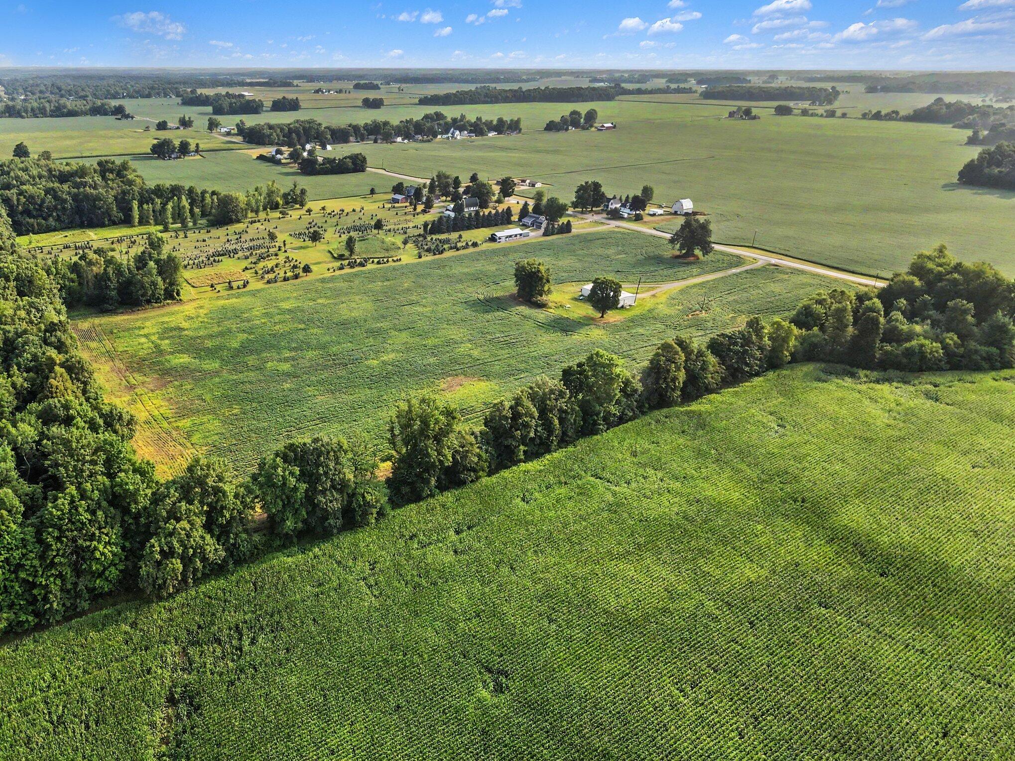 11581 Mulliken Road Mulliken, MI 48861 - Photo 12 of 22 008_file_1647