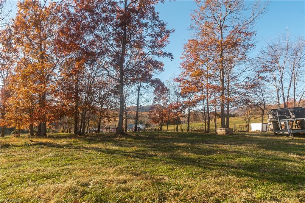 1604 Round Peak Church Road Lowgap, NC 27024 - Photo 14 of 29 Gallery Image 14
