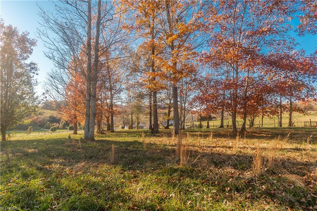 1604 Round Peak Church Road Lowgap, NC 27024 - Photo 15 of 29 Gallery Image 15