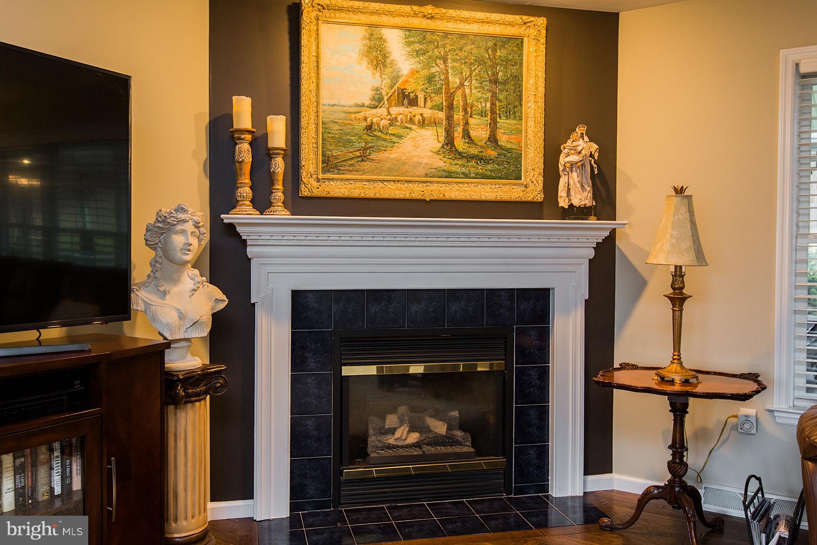 36 Diane Avenue Lititz, PA 17543 - Photo 17 of 52 Gas fireplace
