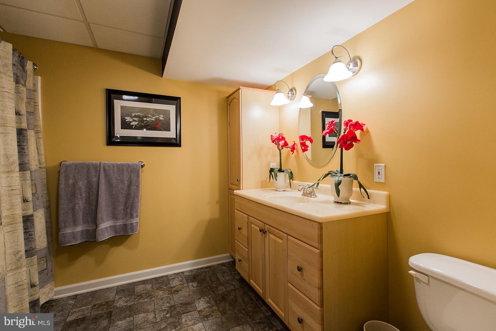 36 Diane Avenue Lititz, PA 17543 - Photo 40 of 52 Full bath in lower level