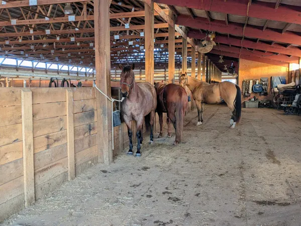 $1,150,000 | W6800 County Rd D, Oxford, WI 53952