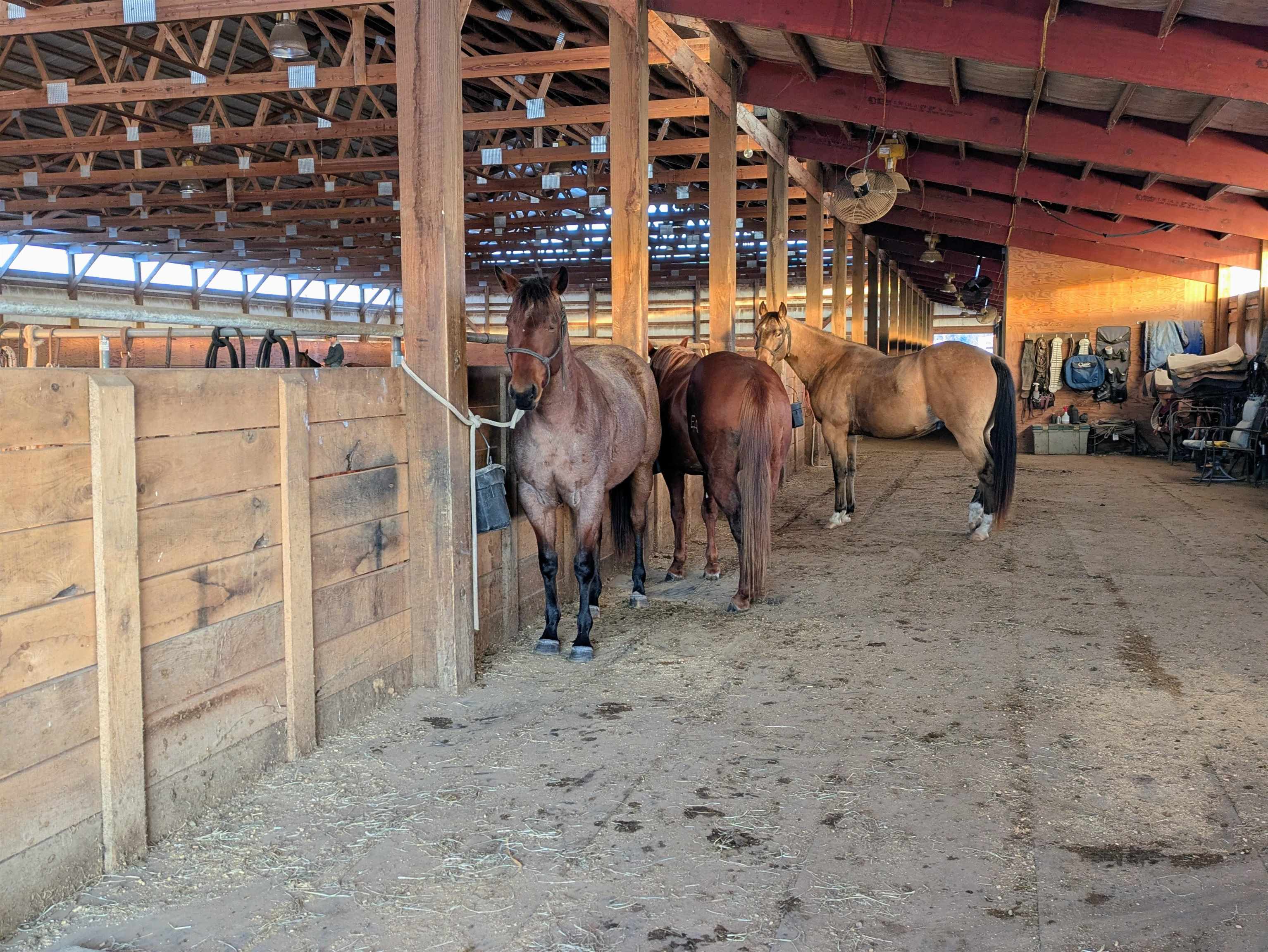 W6800 County Rd D Oxford, WI 53952 - Photo 54 of 89