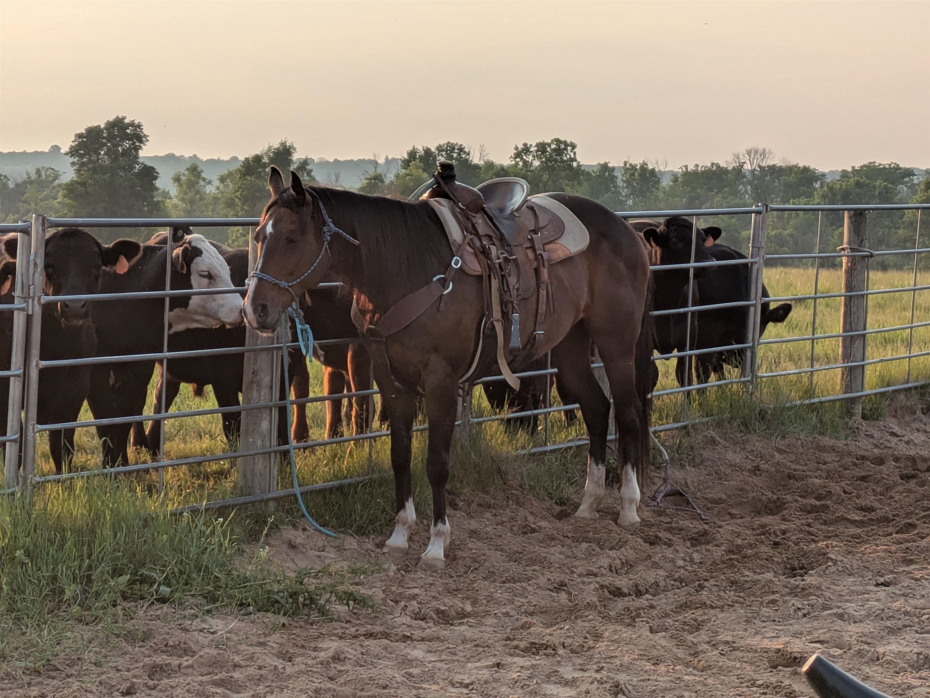 W6800 County Rd D Oxford, WI 53952 - Photo 87 of 89
