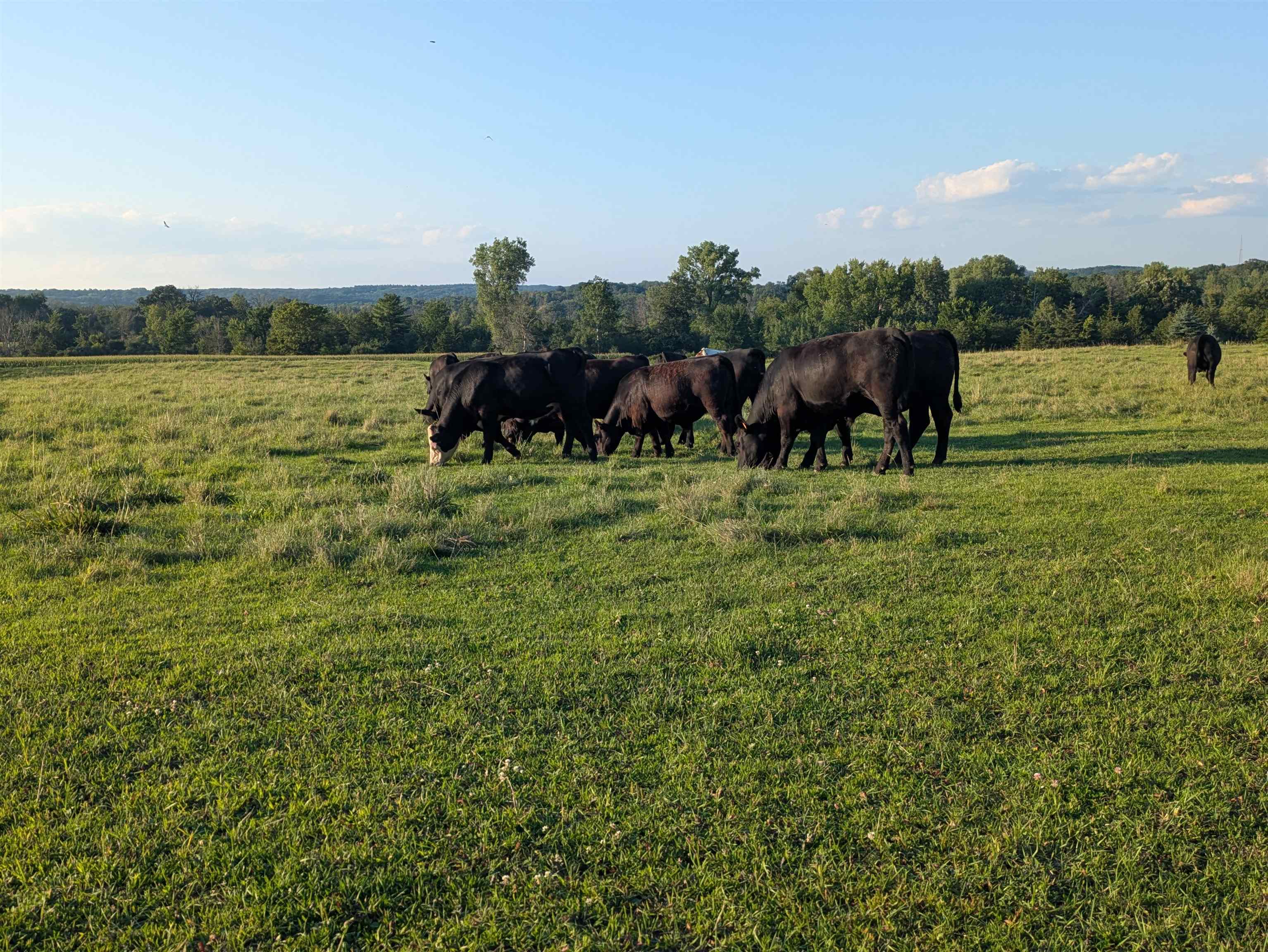 W6800 County Rd D Oxford, WI 53952 - Photo 89 of 89