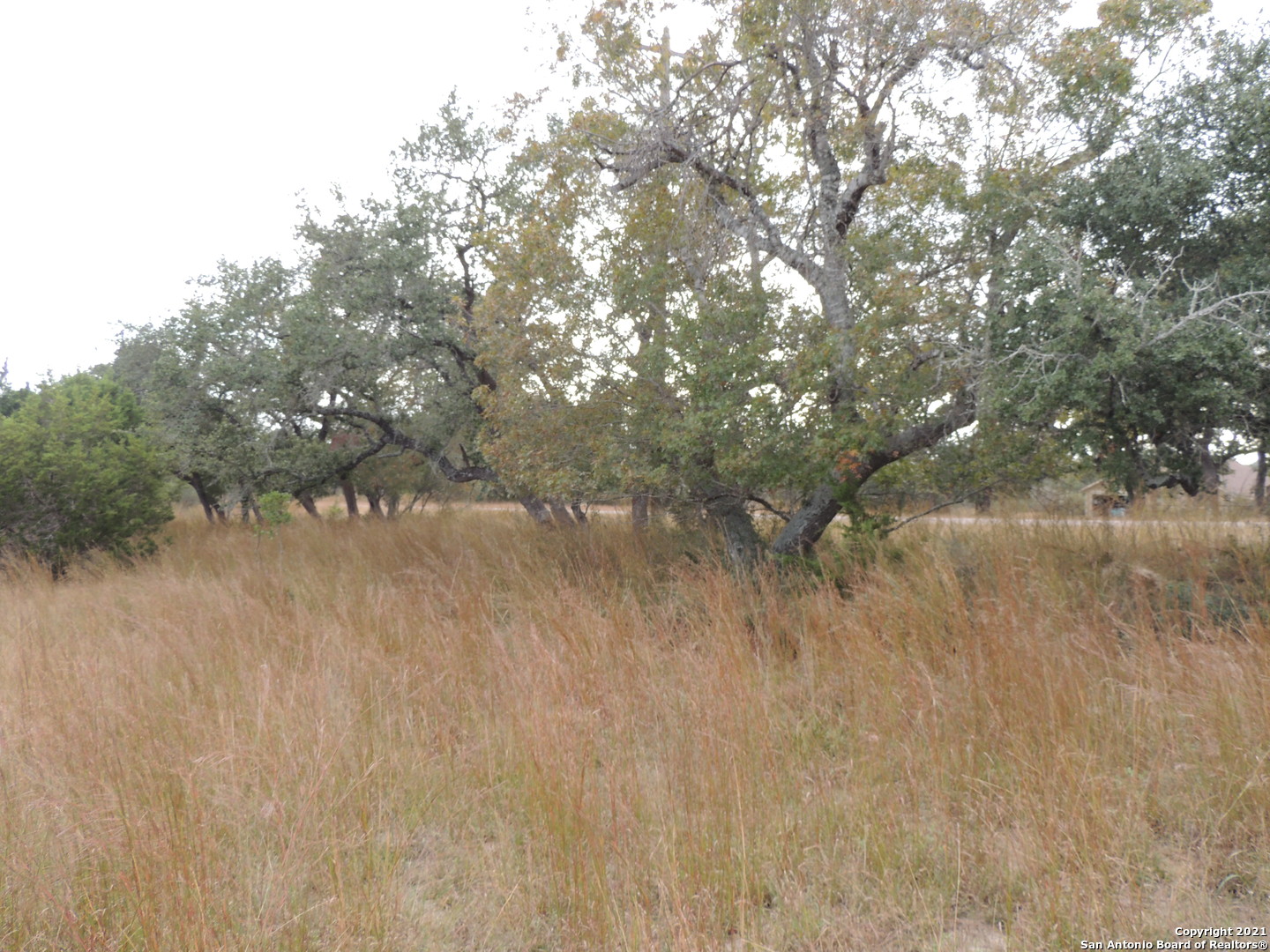 558 Mystic Breeze Spring Branch, TX 78070 - Photo 4 of 11 a view of a lake from a yard