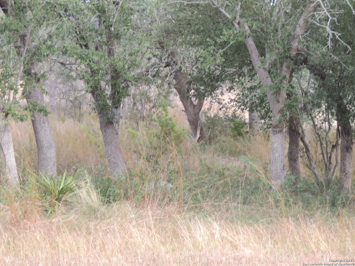 558 Mystic Breeze Spring Branch, TX 78070 - Photo 6 of 11 a view of a yard